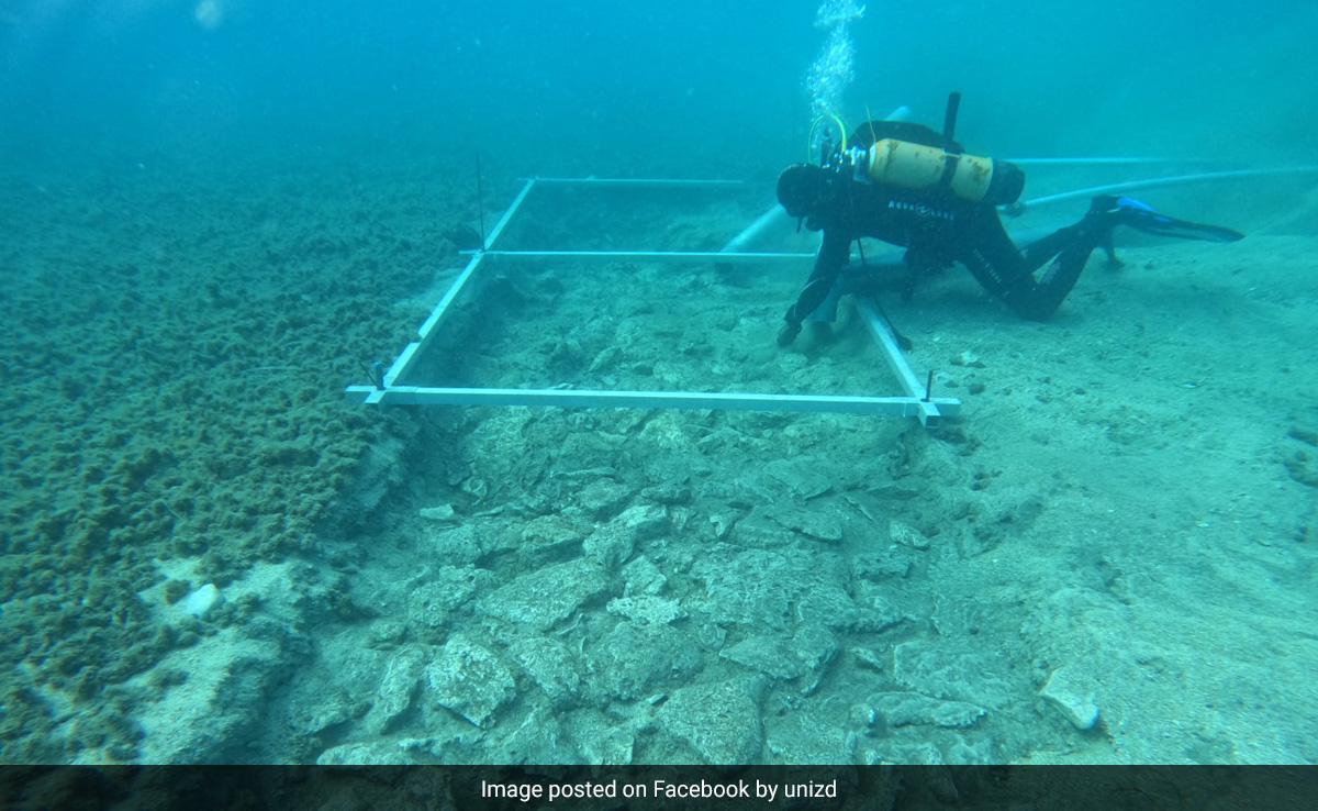 7,000-Year-Old Stone Road Uncovered At The Bottom Of Mediterranean Sea