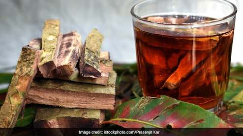 इस पेड़ की छाल करती है ब्लड शुगर कंट्रोल, बस दिन में एक बार कर लें इसका सेवन