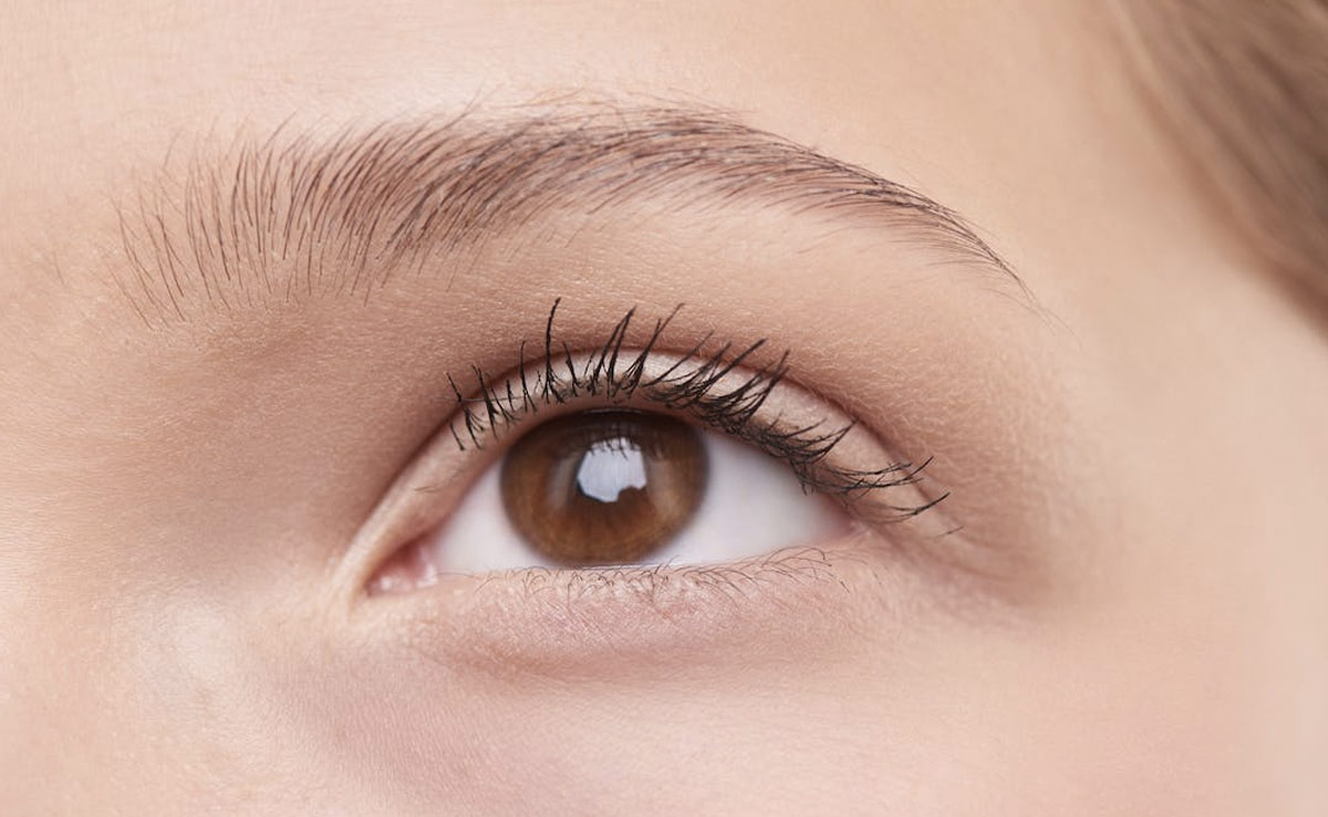 5 Natural Ingredients To Help You Grow Long and Thick Eyelashes Faster