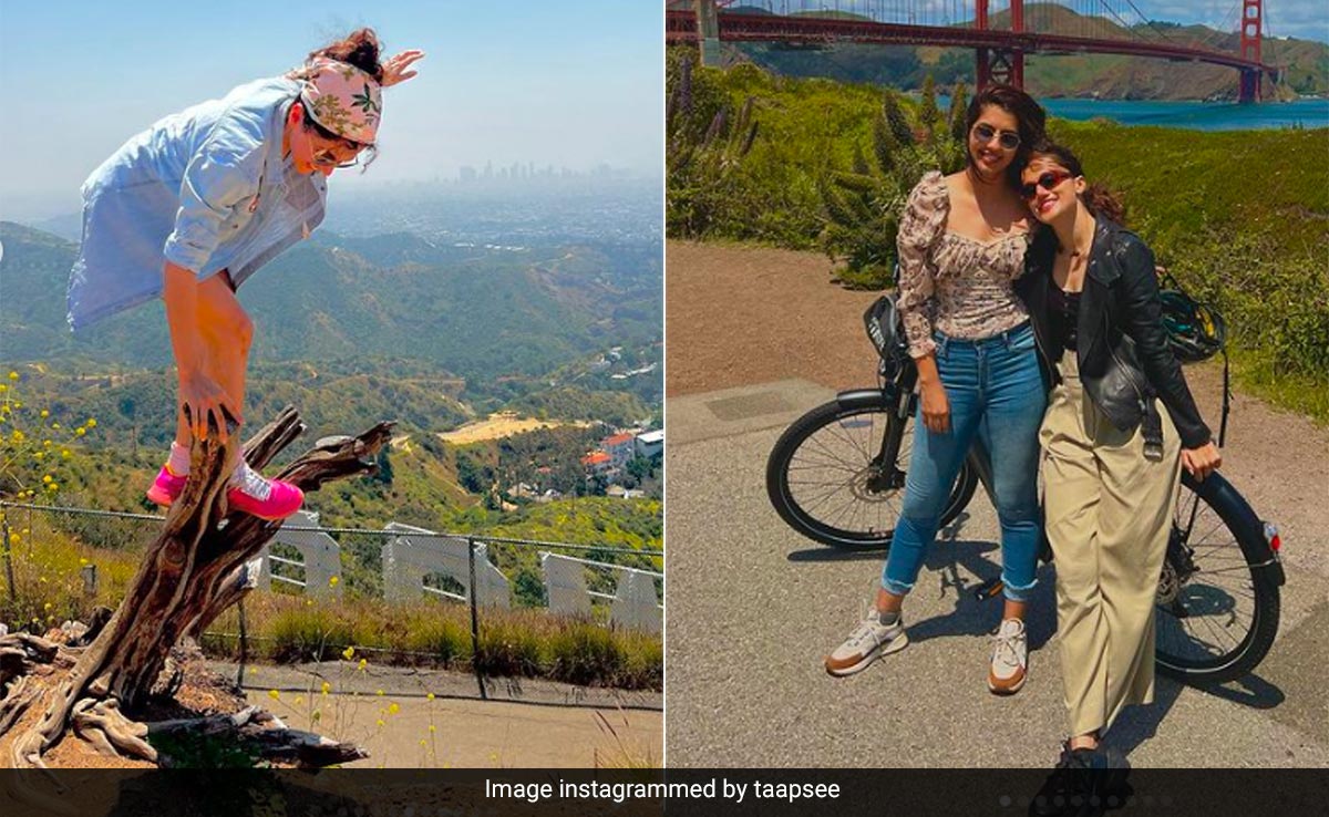 "What Sort Of Never Ending Holiday Is This," Taapsee Pannu Was Asked. Her ROFL Reply