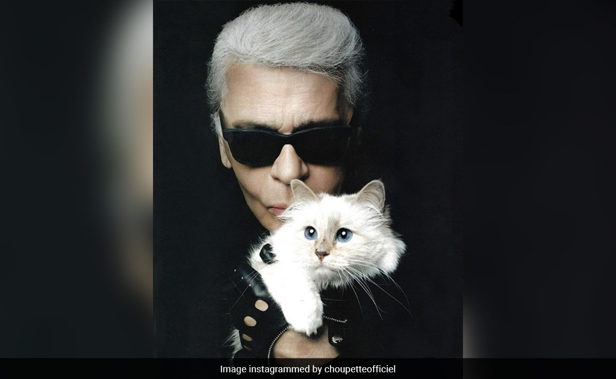 5 Things You Should Know About Karl Lagerfeld's Cat Choupette Before The 2023 Met Gala