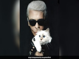 5 Things You Should Know About Karl Lagerfeld's Cat Choupette Before The 2023 Met Gala 5 Things You Should Know About Karl Lagerfeld's Cat Choupette Before The 2023 Met Gala