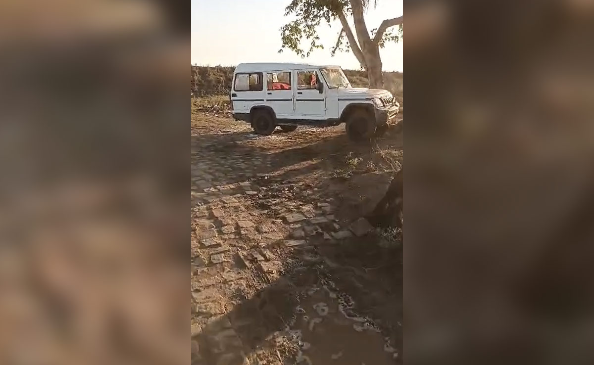 मध्य प्रदेश: चीता की तलाश कर रही थी वन विभाग की टीम, ग्रामीणों ने मवेशी चोर समझकर किया हमला, 1 घायल