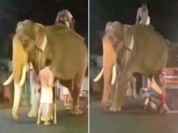 स्कूटी गर्ल ने हाथी पर चढ़ा दी गाड़ी, Video देख यूजर्स ने दिए एक से बढ़कर एक रिएक्शन स्कूटी गर्ल ने हाथी पर चढ़ा दी गाड़ी, Video देख यूजर्स ने दिए एक से बढ़कर एक रिएक्शन