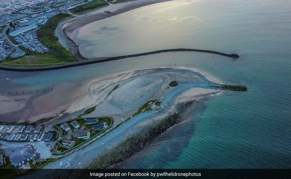 Photo Shows Harbour In UK That Appears Like Dolphin's Head, Internet Amazed