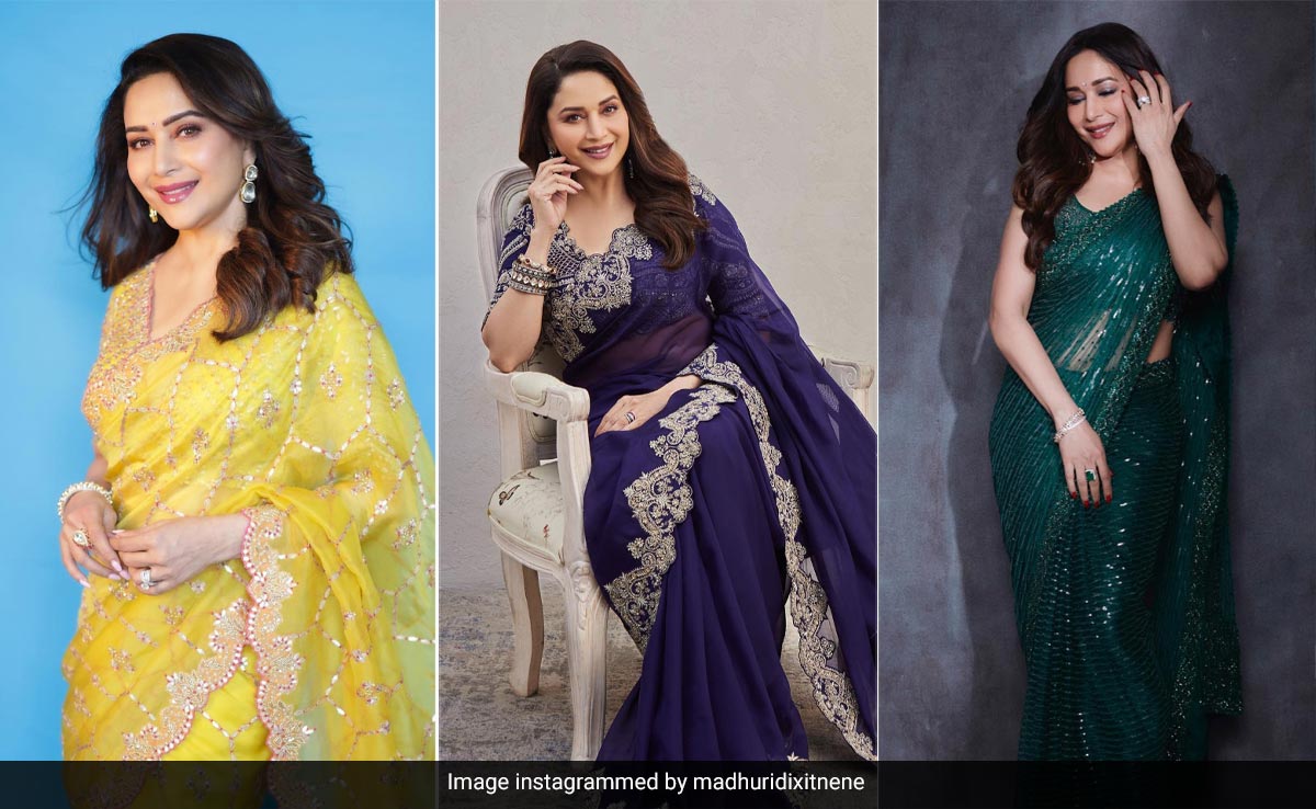 Madhuri Dixit Might Have The Most Stunning <i>Saree</i> Collection In All Of Bollywood