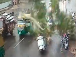 दर्दनाक वीडियो: स्कूटी पर सवार होकर जा रहे थे तीन लोग, तभी पेड़ की डाल टूटकर ऊपर गिरी दर्दनाक वीडियो: स्कूटी पर सवार होकर जा रहे थे तीन लोग, तभी पेड़ की डाल टूटकर ऊपर गिरी