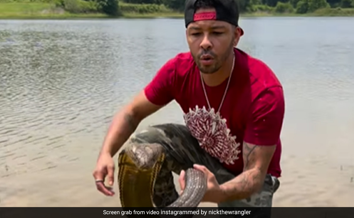 Man Kisses A 12-Feet Cobra, Video Will Give You Goosebumps
