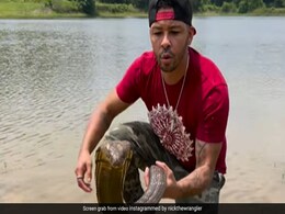 Man Kisses A 12-Feet Cobra, Video Will Give You Goosebumps Man Kisses A 12-Feet Cobra, Video Will Give You Goosebumps
