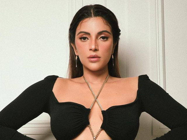 आइस स्कीइंग करती नज़र आईं शमा सिकंदर, शेयर किया वीडियो