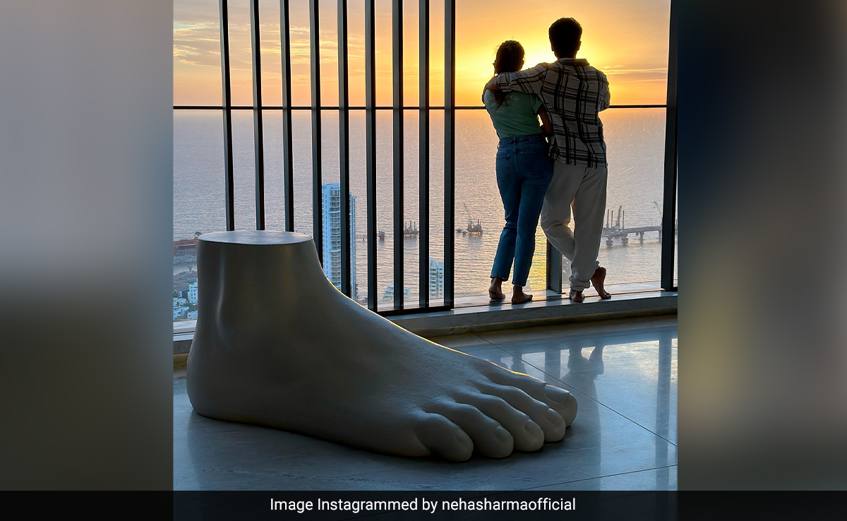 How Much Square Footage Does Shahid Kapoor's House Have? One Large Foot, We'd Say