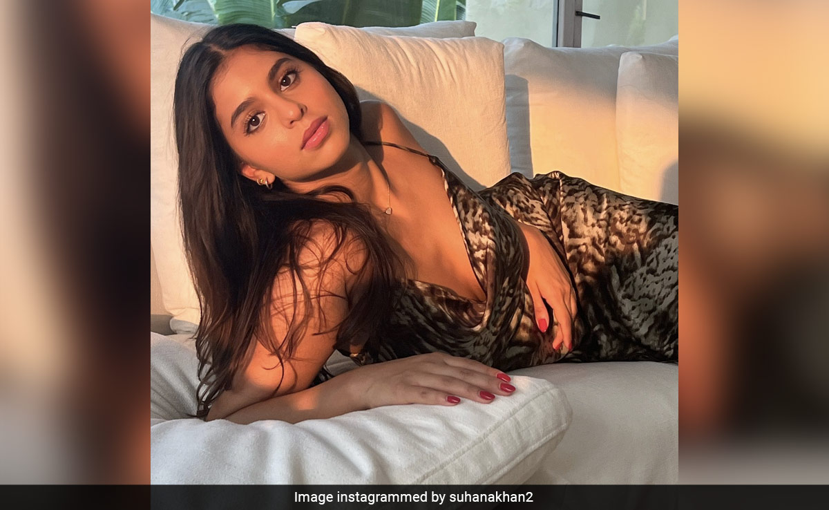 "Suhana Khan Doesn't Come With Baggage That She's Shah Rukh's Daughter," Says Choreographer