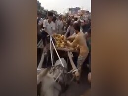 पाकिस्तान का वीडियो वायरल: मासूम बच्चा सड़क पर केला बेचने निकला था, लोगों ने लूट लिए पाकिस्तान का वीडियो वायरल: मासूम बच्चा सड़क पर केला बेचने निकला था, लोगों ने लूट लिए