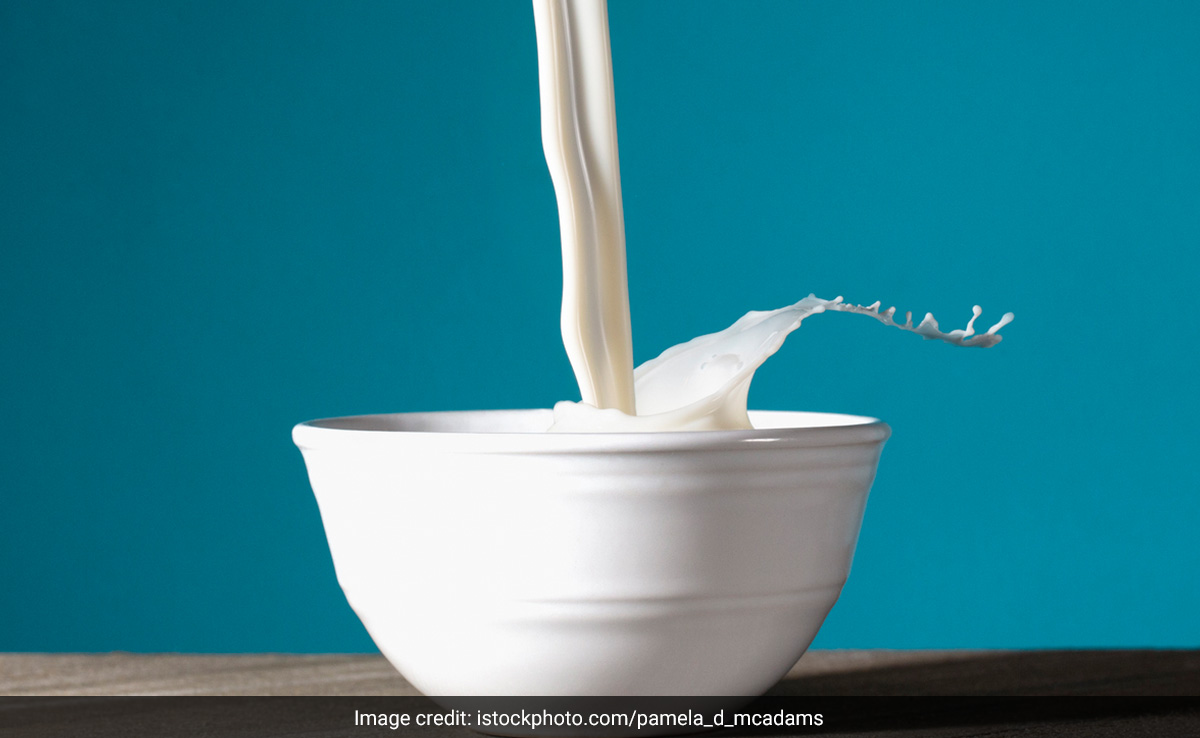 Cow milk has a lower calorie content compared to buffalo milk