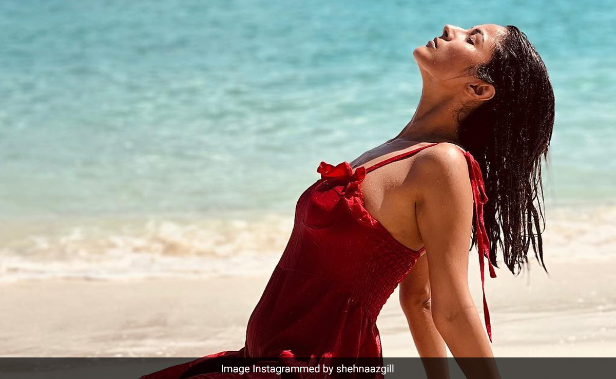 Just Shehnaaz Gill On A Beach, Making "Tan O Clock" Look Awesome