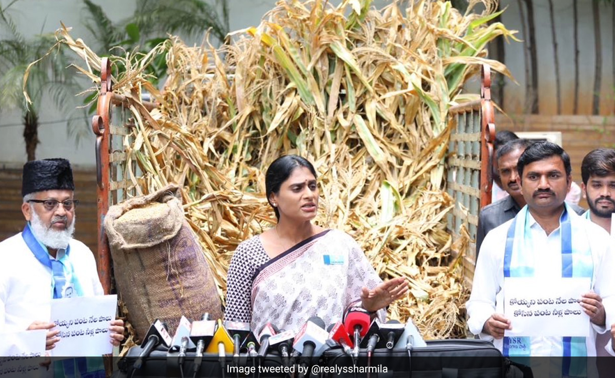 "Wake Up": YS Sharmila Sends Truckload Of Damaged Crops To KCR