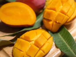 Google's Quiz On Mangoes Has Got Us Intrigued - Can You Solve It?
