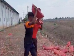 कौड़ियों के भाव प्याज, किसान अपनी उपज कहीं नाले में फेंक रहे; कहीं मुफ्त में बांट रहे कौड़ियों के भाव प्याज, किसान अपनी उपज कहीं नाले में फेंक रहे; कहीं मुफ्त में बांट रहे