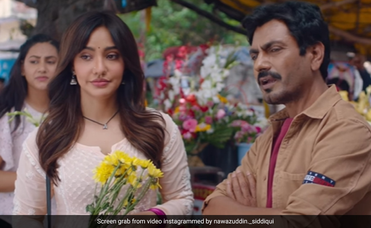 Jogira Sara Ra Ra Box Office Collection Day 1: IB71 के पहले दिन का भी नहीं रिकॉर्ड तोड़ पाई 'जोगीरा सा रा रा', इतनी की कमाई!