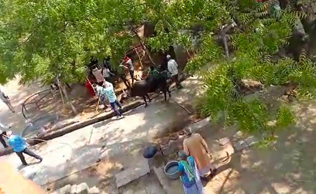 मध्य प्रदेश : मुरैना में पुरानी रंजिश के चलते एक ही परिवार के 6 लोगों की हत्या