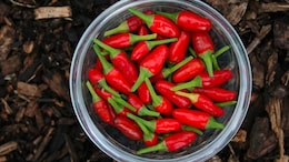 How Eating Spicy Food Affects Digestive Health And Weight Loss