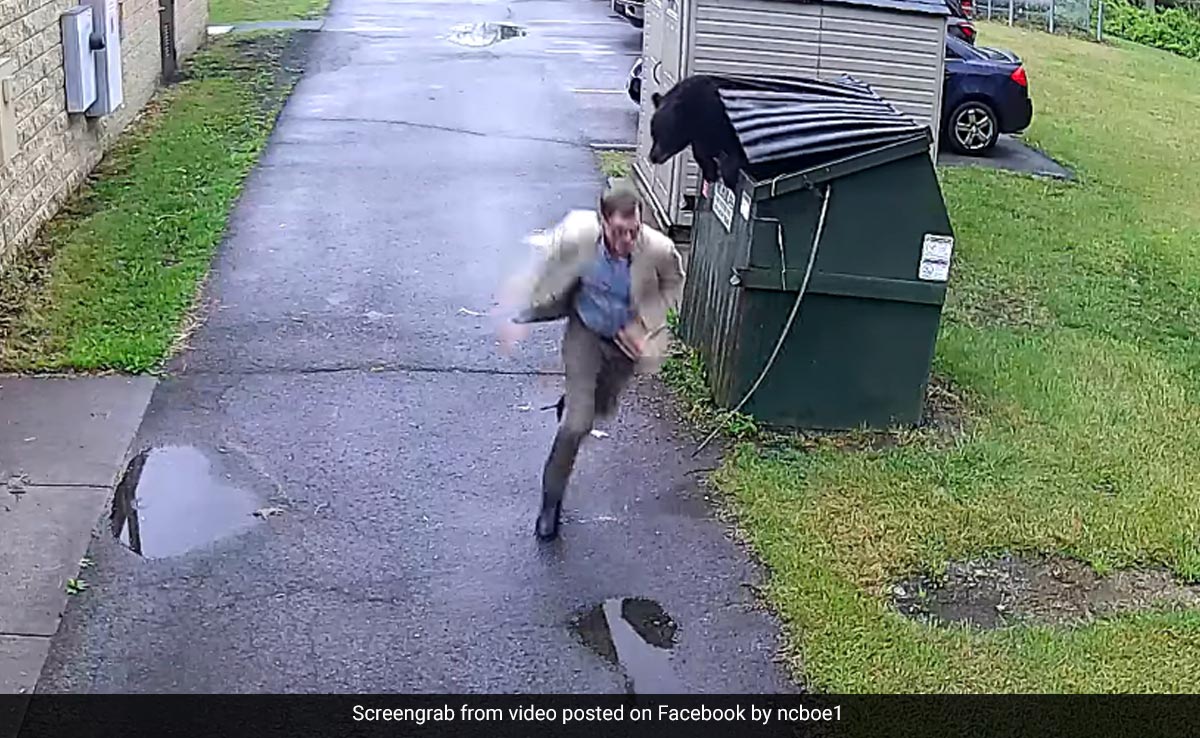 Watch: School Principal Comes Face-To-Face With A Bear In US. This Happens Next