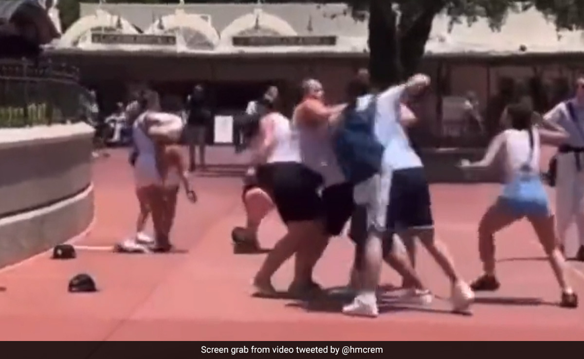Watch: Punches, Shoving During Fight At US Disney World. Here's Why