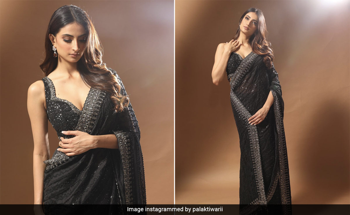 Palak Tiwari's Sequinned Black <i>Saree</i> Is A Cocktail Night Staple