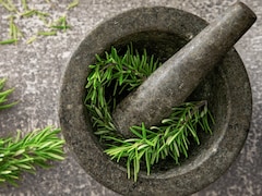 Rosemary Can Regulate Blood Sugar, Claim Viral Videos; Link Decoded