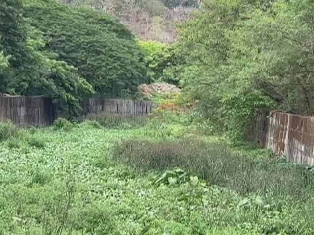 Ground Report: Soil Erosion Along River Mithi In Mumbai Raises Concern