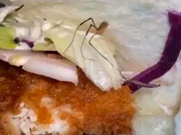 KFC Faces Backlash After Customer Finds Dead Spider In Meal
