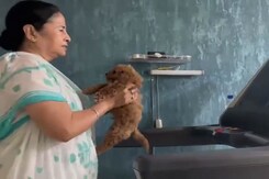Watch: Mamata Banerjee's Workout Routine Includes A Treadmill And A Puppy Watch: Mamata Banerjee's Workout Routine Includes A Treadmill And A Puppy