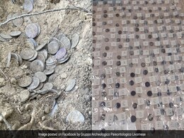 Archaeologist Find Buried Treasure Including Roman Coins While Hiking In Italy Archaeologist Find Buried Treasure Including Roman Coins While Hiking In Italy