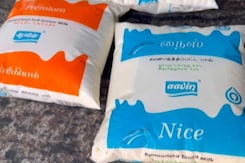 Amul vs Aavin: Politics Intensifies Over Milk In Tamil Nadu Amul vs Aavin: Politics Intensifies Over Milk In Tamil Nadu