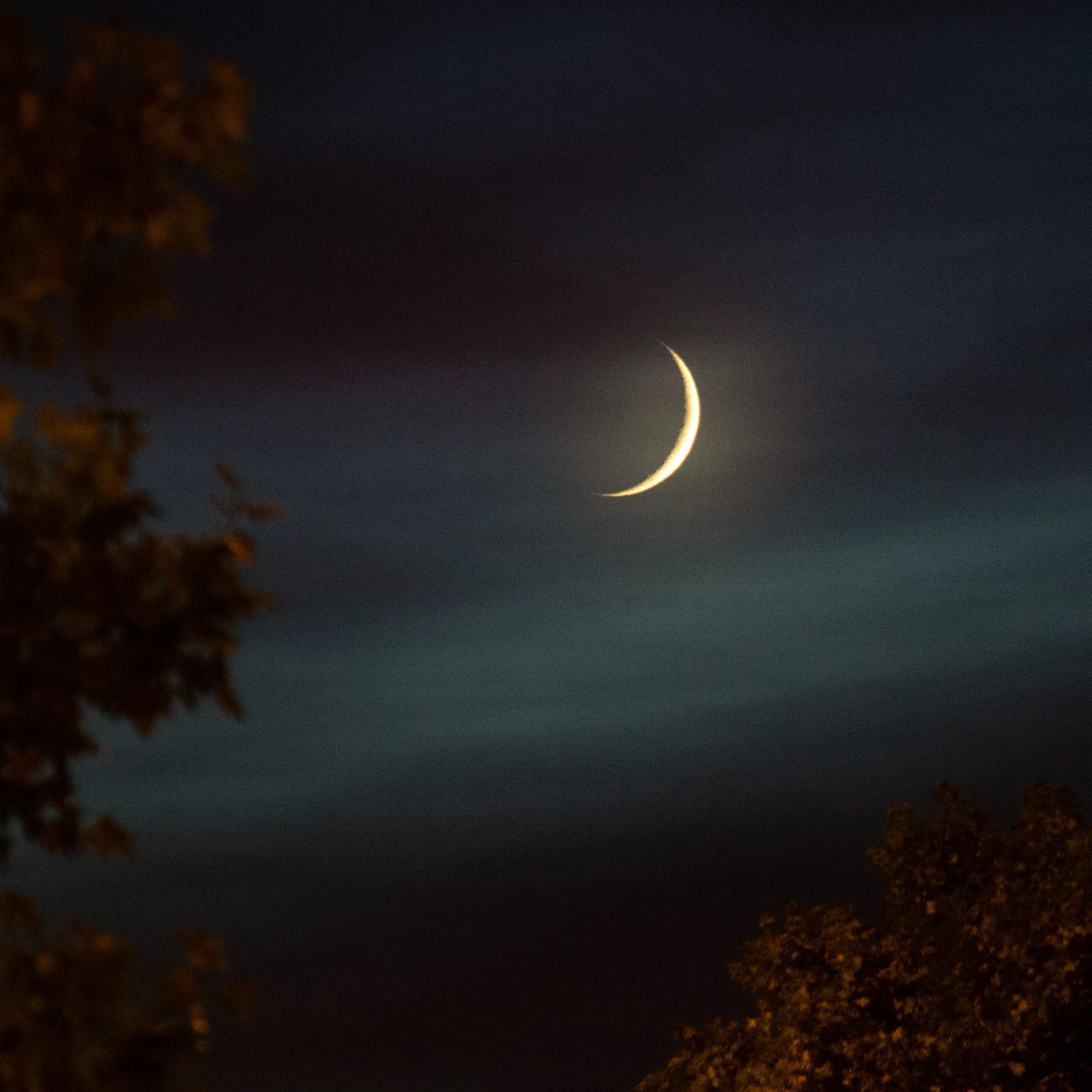 October 28-29 Lunar Eclipse To Be Visible From All Places In India