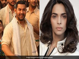 मल्लिका शेरावत ने 'दंगल' का ऑडिशन कर लिया था क्लियर, फिर भी आमिर खान ने इस वजह से कर दिया था रिजेक्ट मल्लिका शेरावत ने 'दंगल' का ऑडिशन कर लिया था क्लियर, फिर भी आमिर खान ने इस वजह से कर दिया था रिजेक्ट