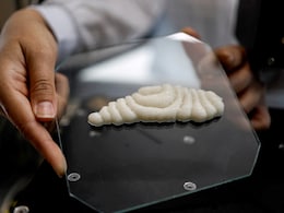 Israeli Start-Up Creates World's First 3D-Printed Fish Fillet - See Pic
