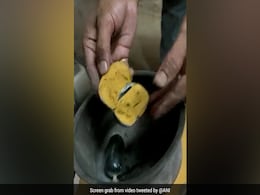 Gold Worth 42 Lakhs Hidden In Man's Rectum, Seized At Airport In Telangana Gold Worth 42 Lakhs Hidden In Man's Rectum, Seized At Airport In Telangana