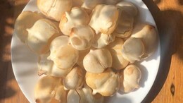Nutritionist Lists Down 5 Reasons Why You Should Eat Tadgola This Summer&nbsp;