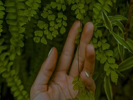 Plants Can Distinguish When Touch Begins And Ends, Says New Study Plants Can Distinguish When Touch Begins And Ends, Says New Study
