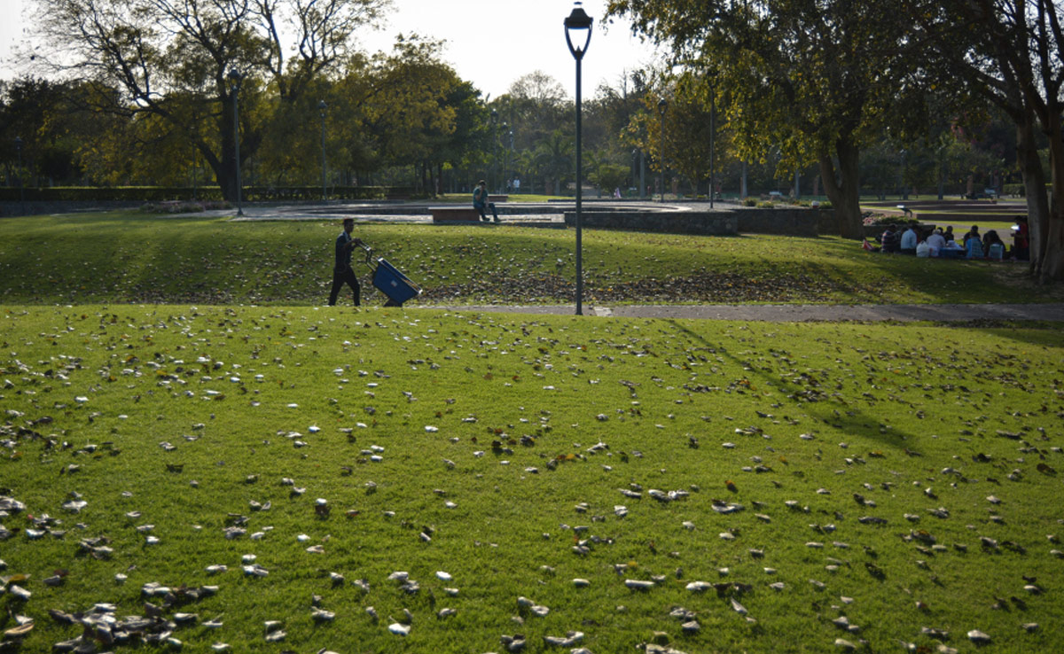 Weather Highlights: Drastic Drop In Temperatures Keeps Delhi Cool