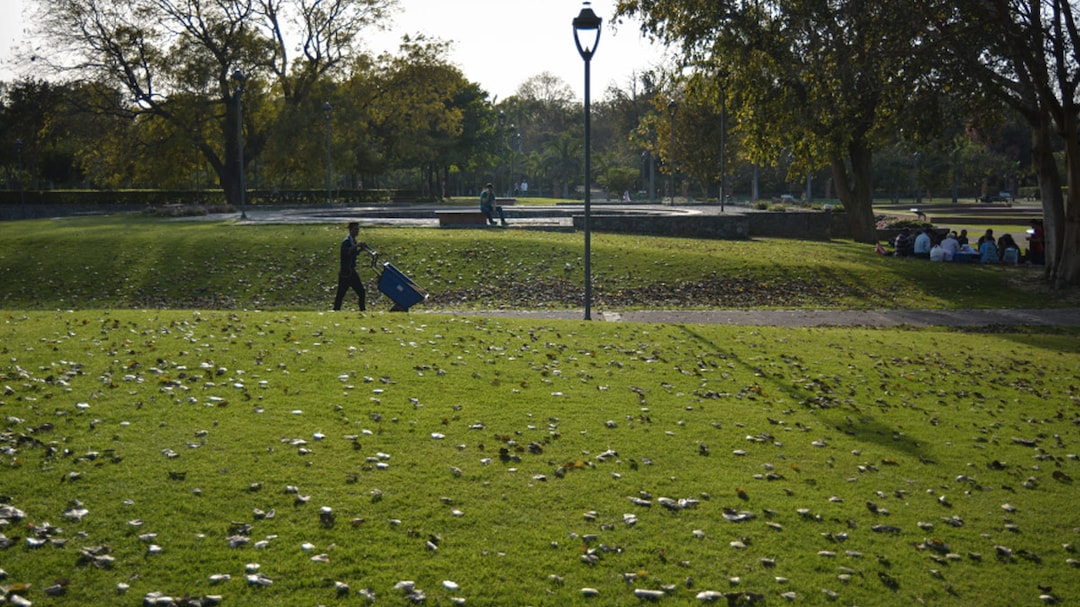 Weather Today LIVE: Drastic Drop In Temperatures Keeps Delhi Cool