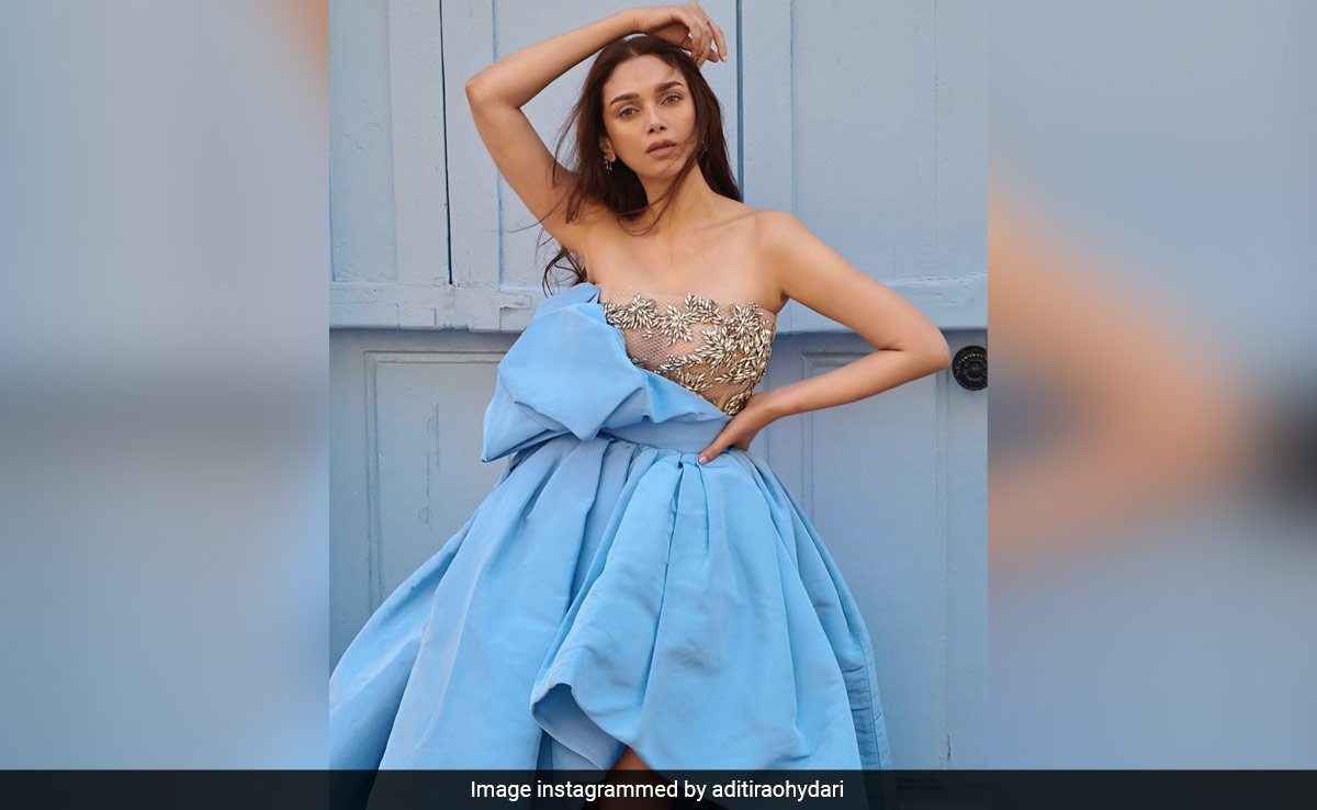 Cannes 2023: Siddharth's Comment On Rumoured Girlfriend Aditi Rao Hydari's Post Sums Up Everyone's Reaction