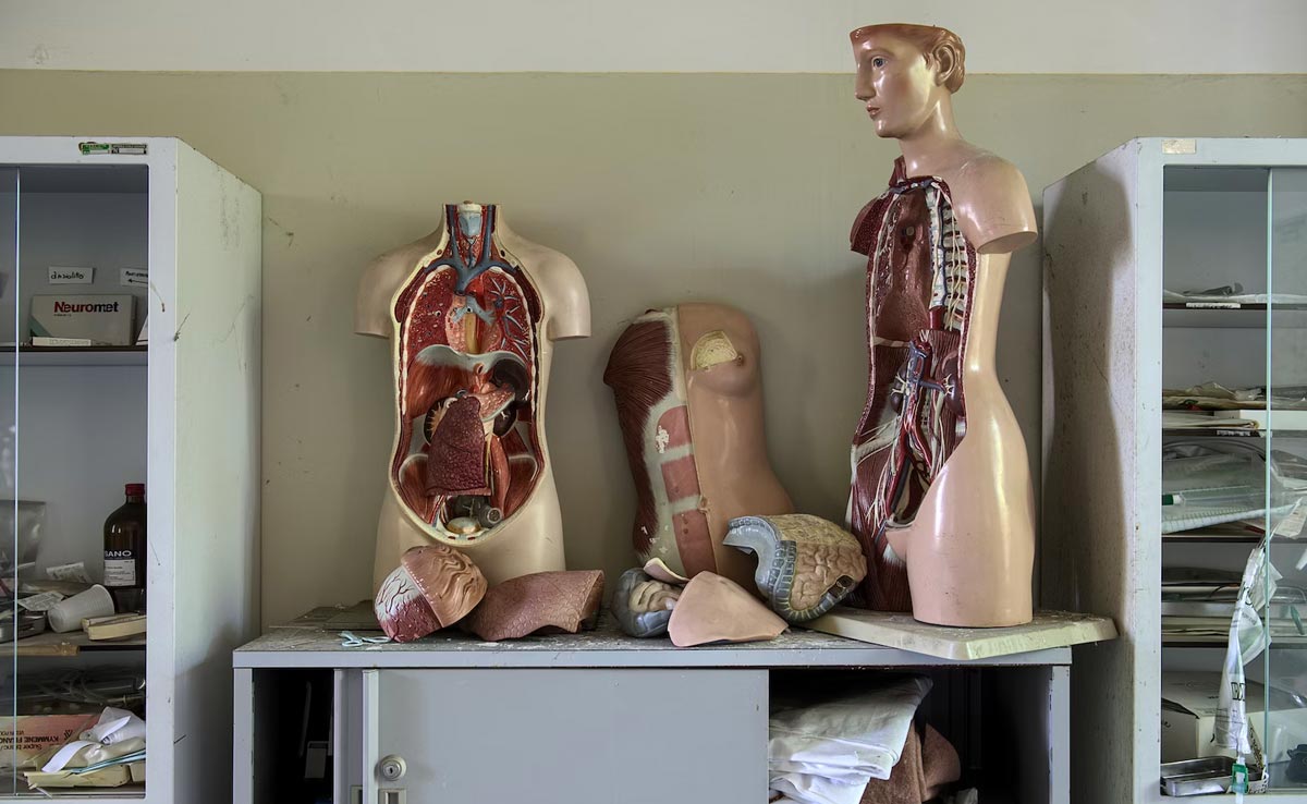 US Woman Indicted For Selling Foetuses, Hearts And Lungs On Facebook