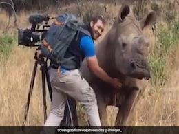 गैंडे की फोटो खींच रहा था, जानवर को आ गया गुस्सा, फोटोग्राफर ने पास जाकर ऐसे किया प्यार, यूजर्स बोले- खतरनाक हो सकता था गैंडे की फोटो खींच रहा था, जानवर को आ गया गुस्सा, फोटोग्राफर ने पास जाकर ऐसे किया प्यार, यूजर्स बोले- खतरनाक हो सकता था
