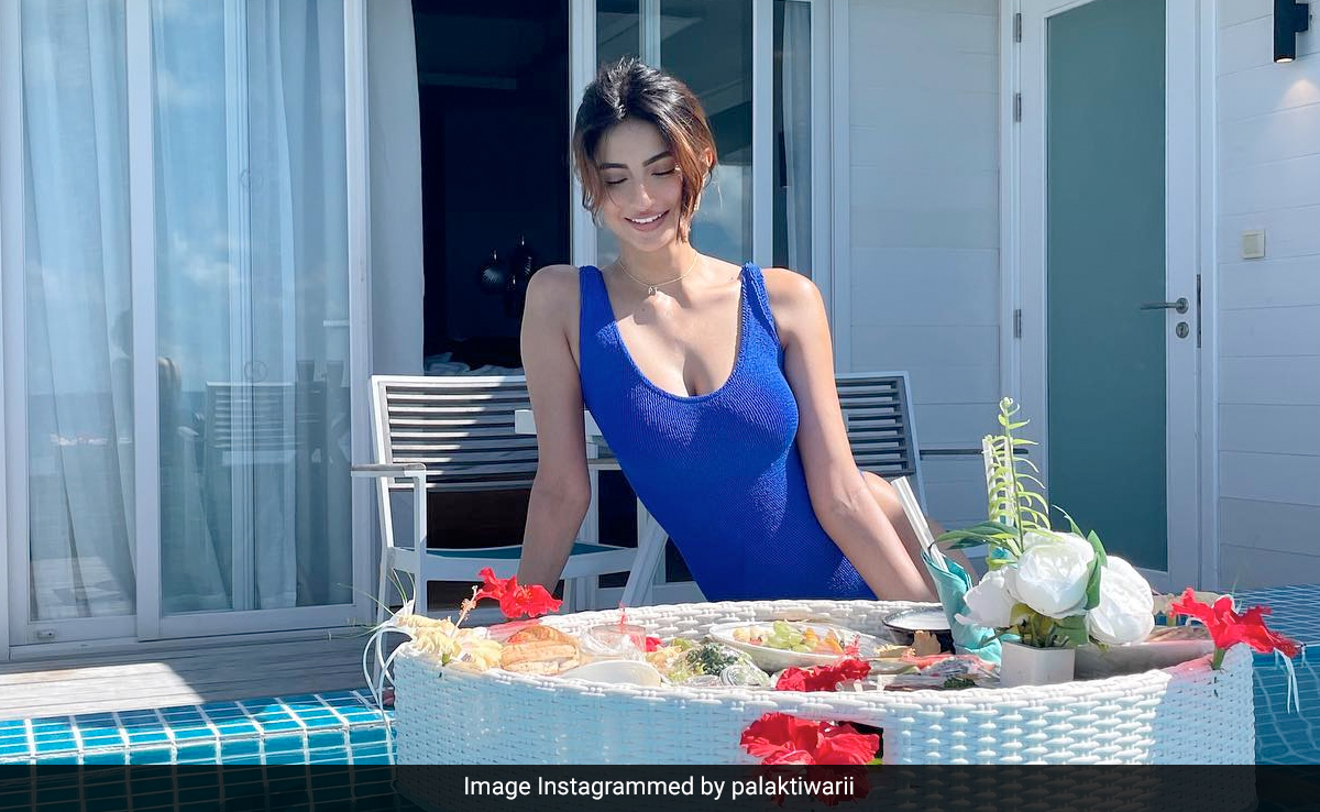 Palak Tiwari's Midweek Plunge In A Ribbed Swimsuit Has Us Feeling Blue