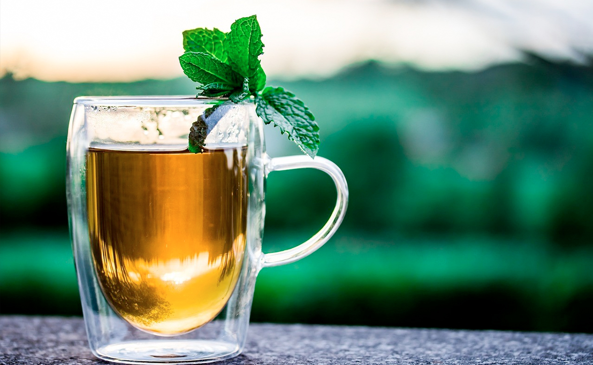 International Tea Day: 200 Years Of Assam Tea Celebrated In Guwahati