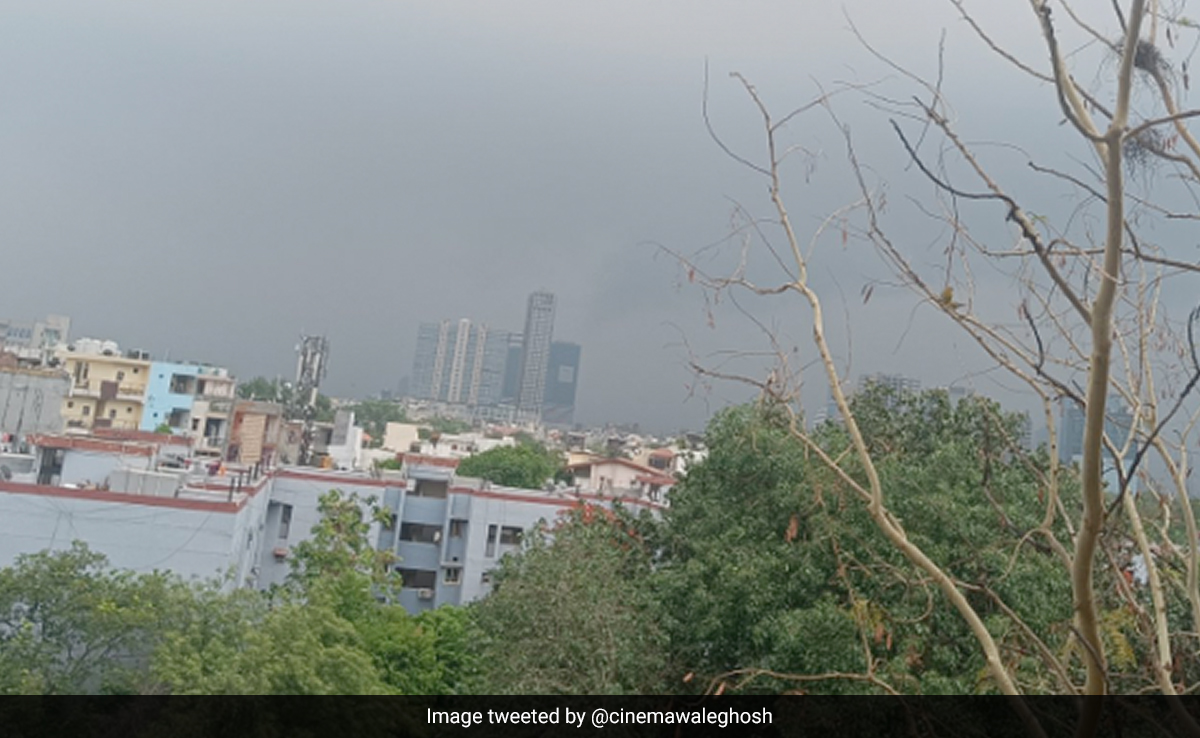 ''Is This Really May?'': As Untimely Rains Hit Delhi-NCR, Twitter Reacts With Memes And Videos