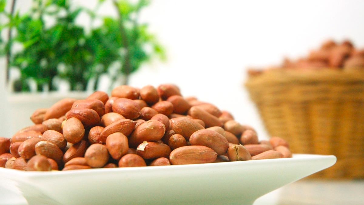 Peanut Side Effects: मूंगफली खाने के बाद बिल्कुल न करें इन चीजों का सेवन,  नहीं तो हो जाएंगी ये बड़ी दिक्कतें | Moongphali Khane Ke Baad Kya Nahi  Khana Chahiye Do Not