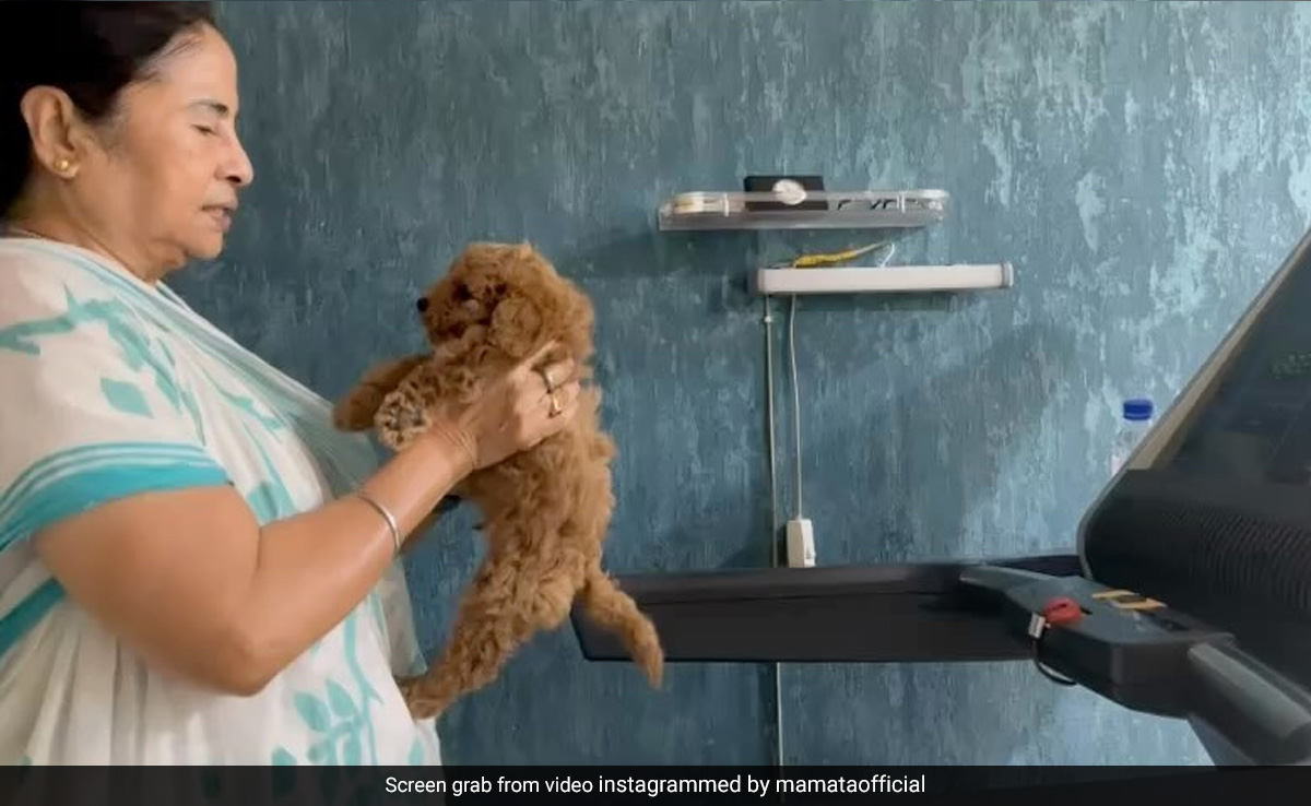 Watch: Mamata Banerjee's Workout Routine Includes A Treadmill And A Puppy